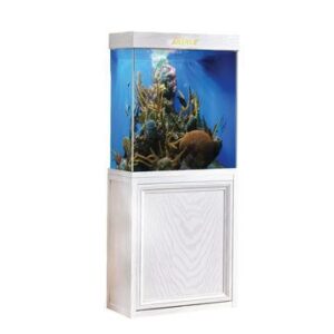 White 40 Gallon Fish Tank