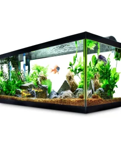 Cabinet Aquarium Fish Tanks
