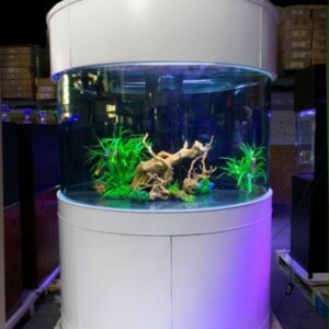 220 Gallon Half-Moon Fish Tank