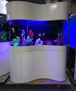170 Gallon White Fish Aquarium Best